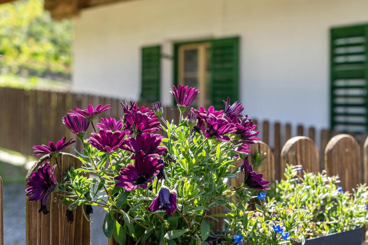Ferienwohnung Brunjaunhof Schenna Zewnętrze zdjęcie
